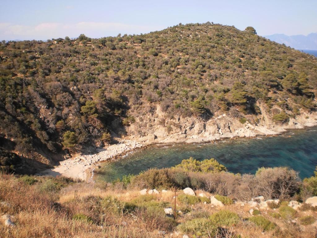 Vergina Pension Sarti Exterior foto
